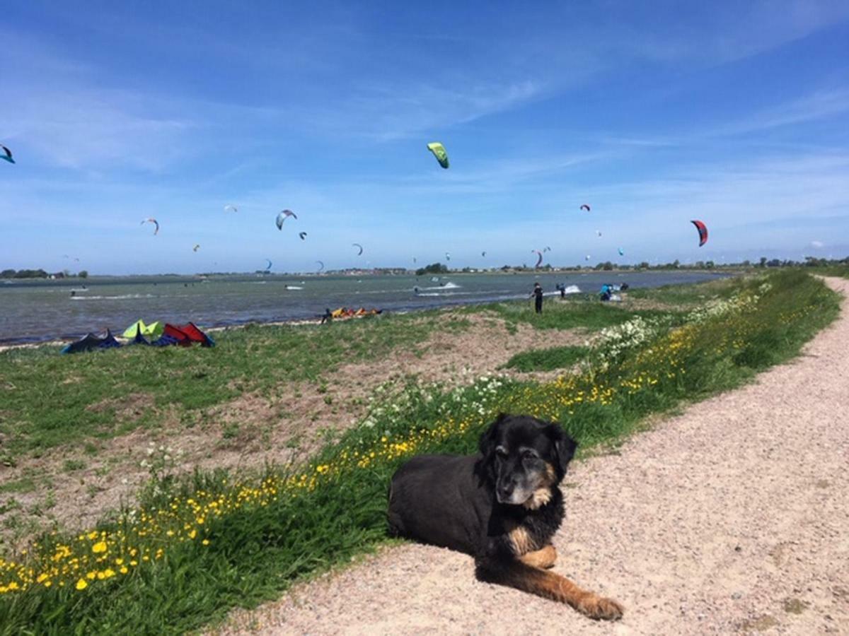 Zur Muehle Lemkenhafen Auf Apartment Fehmarn