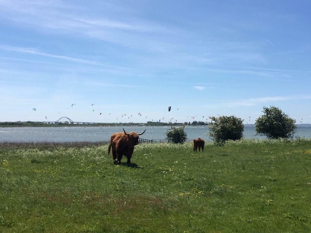 Zur Muehle Lemkenhafen Auf *