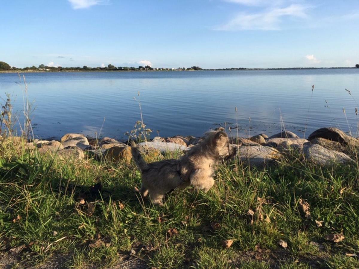 Zur Muehle Lemkenhafen Auf * Fehmarn